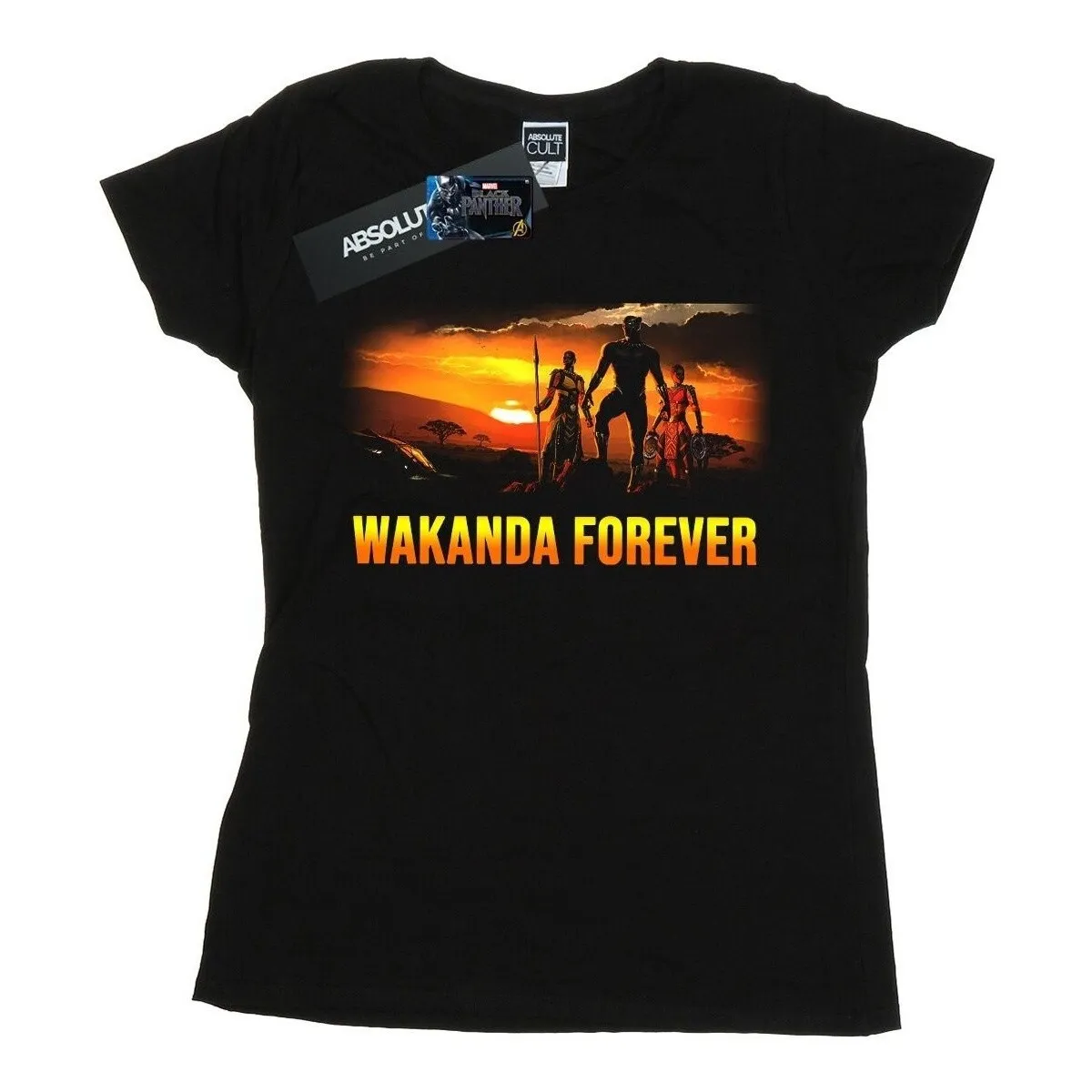 Black Panther Wakanda Forever