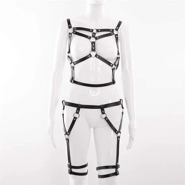 Conjunto de arneses
