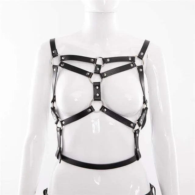 Conjunto de arneses