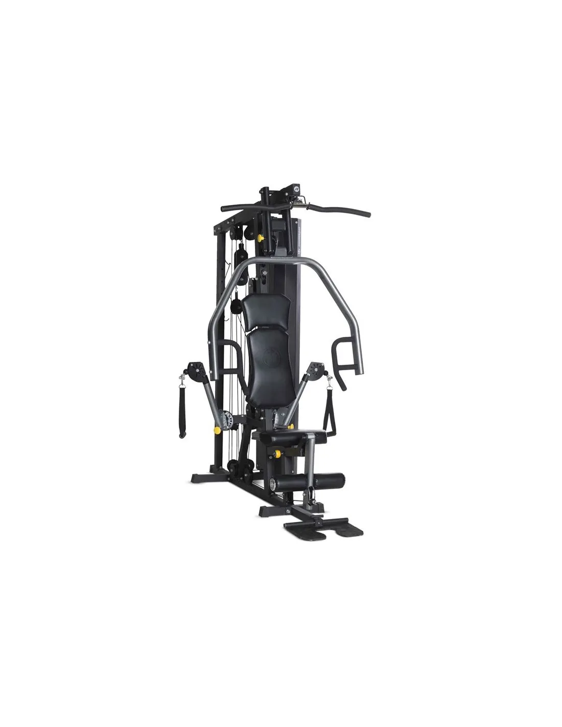 Multiestación Horizon Fitness TORUS 3