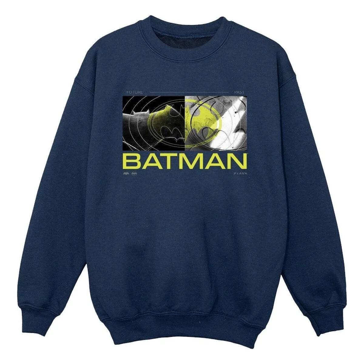 The Flash Batman Future To Past