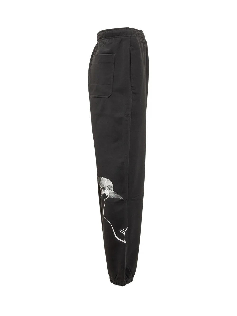 Y3 GFX PANTS